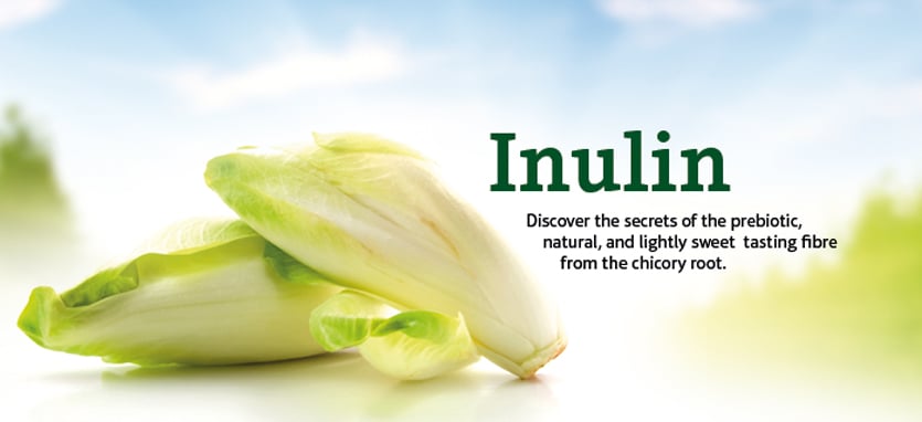 Inulin: discover the secrets