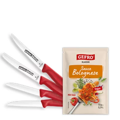 Knife Set: Hobby Cook