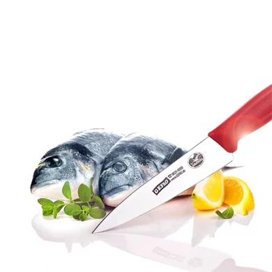 Carving Knife